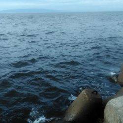 ジグサビキング