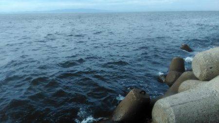 ジグサビキング