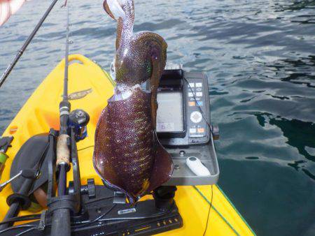 風とうねりで岸ぎわで…