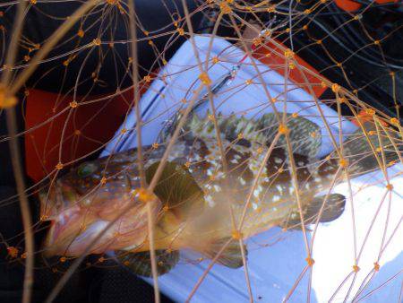 マイカヤック釣行　結構釣れました