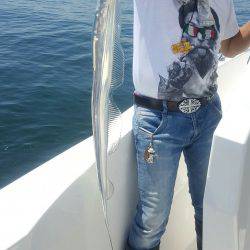 須磨で太刀魚②