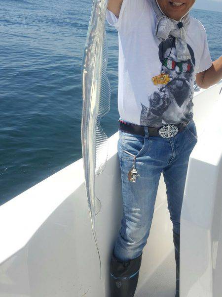 須磨で太刀魚②