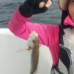 横瀬太刀魚、初ボウズ