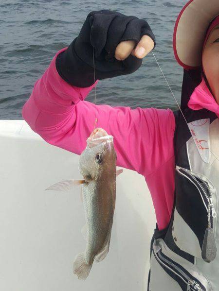 横瀬太刀魚、初ボウズ