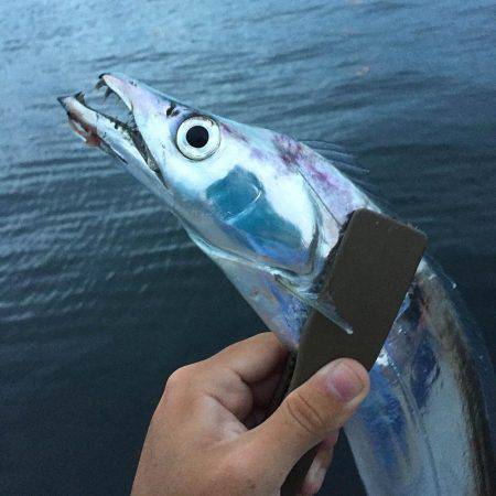 湾奥ケツブルワインド！