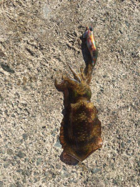 ハイプレッシャー