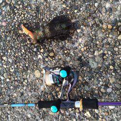 アジング＆エギング