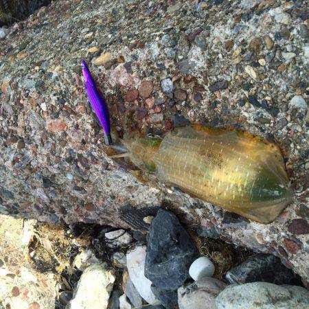 昨日に引き続き…