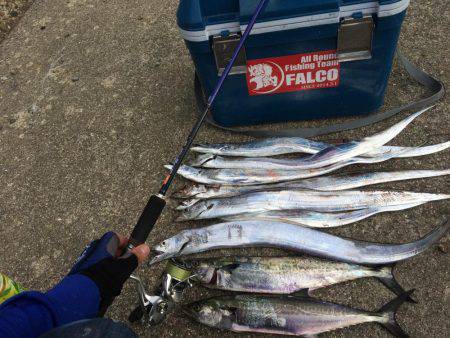 北港周辺で朝練