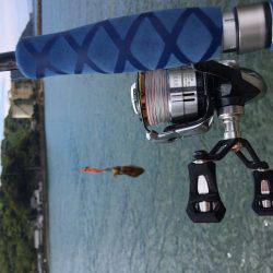 ちょいランガン