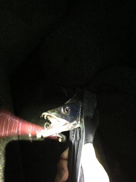 アジングのちワインド