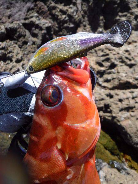 ハードロックショア