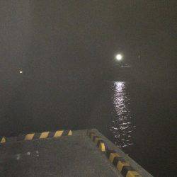 ライトタックルでお手軽ナイトロ