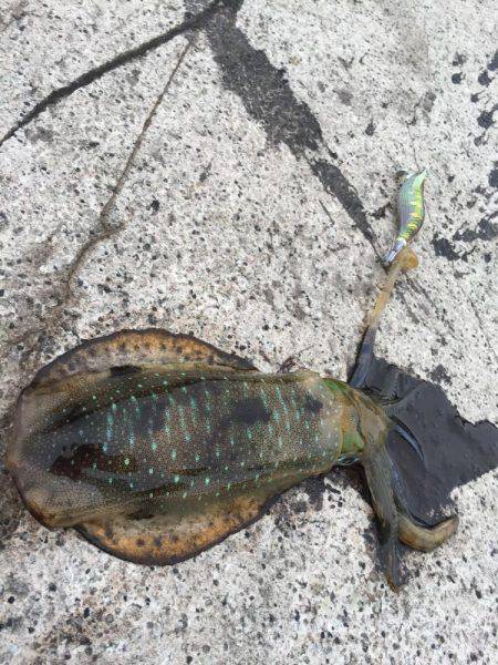 久しぶりの平日休み♪