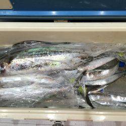 青物&太刀魚