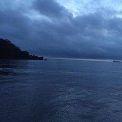 アコウ シーバス^ ^