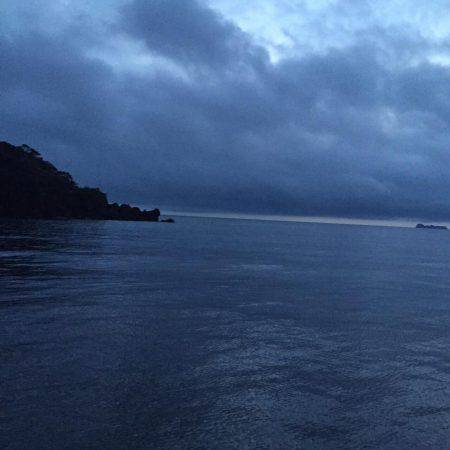 アコウ シーバス^ ^