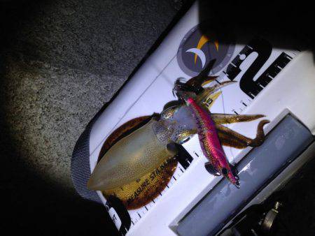 アオリにスイッチ？