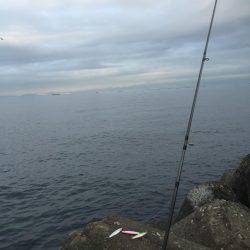 今日も本命は釣れず‥