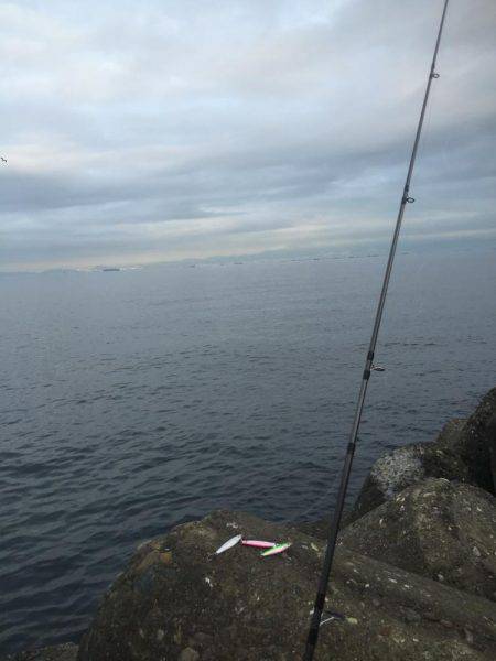 今日も本命は釣れず‥