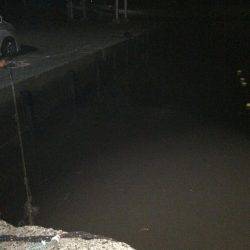 手のひらサイズのソイ好調