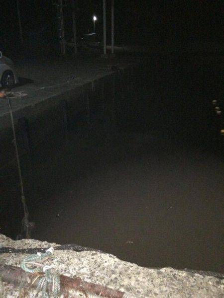 手のひらサイズのソイ好調