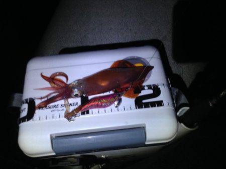 ケンサキ終盤？？