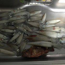 台風来るまでに