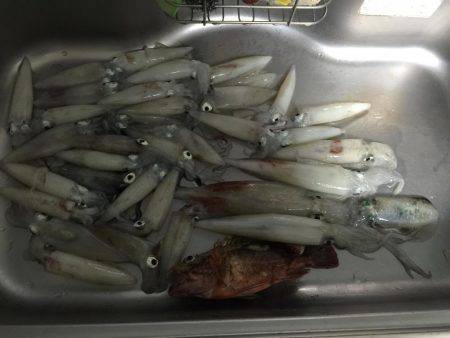 台風来るまでに