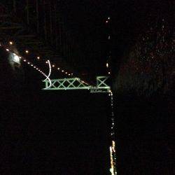 ケンサキ時々アオリ