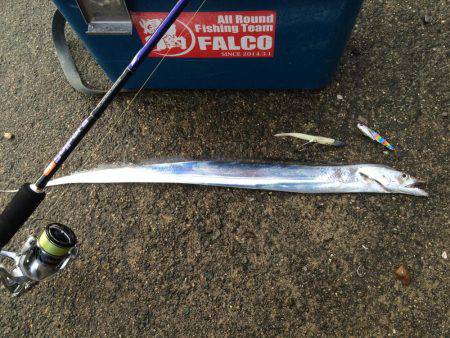 マイポイントで朝練