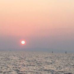 アタリが渋すぎ〜