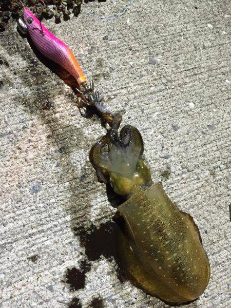 シャクリシャクリ&ライトライト