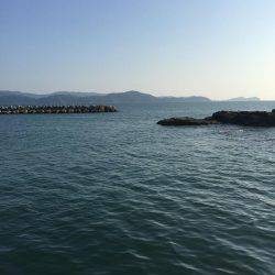 田ノ浦漁港エギング14回目