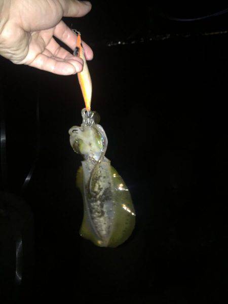 潮は良くないけど・・・