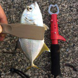 初モノばっかり！！