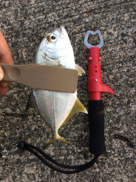 初モノばっかり！！