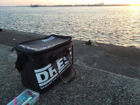 岸和田一文字釣行 タチウオは何処へ?