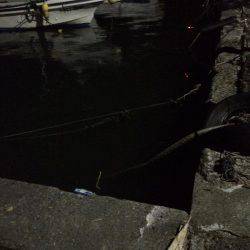 ファミリーフィッシング 夜編