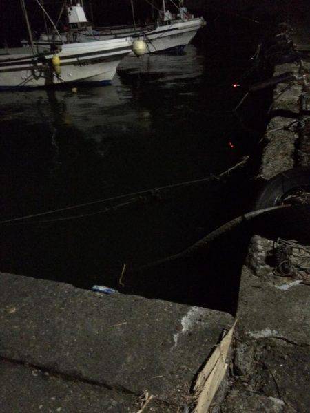 ファミリーフィッシング 夜編