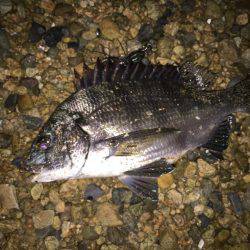 仕事帰りにちょっとだけ