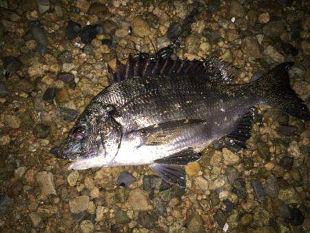 仕事帰りにちょっとだけ