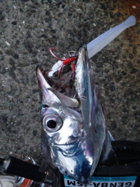 渋かったです！！