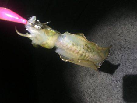 暴風でも行ってきました。