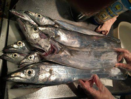 しっぶい、、、