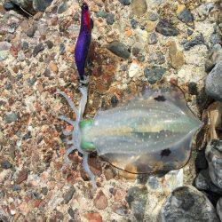 いつものところで