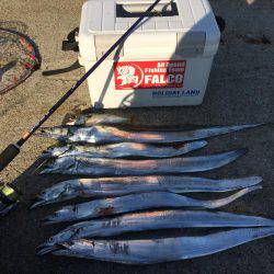 マイポイントで朝練