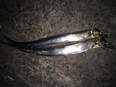 前日が好調だったので...