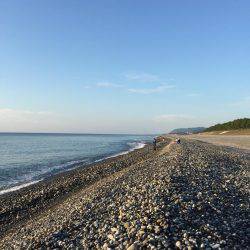 七里御浜 青物狙うも…