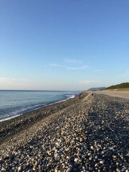 七里御浜 青物狙うも…